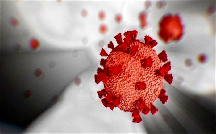 لزوم رعایت فاصله ۱.۵ متری در هنگام خرید