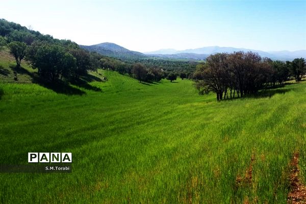 طبیعت زیبای تنگ بوان