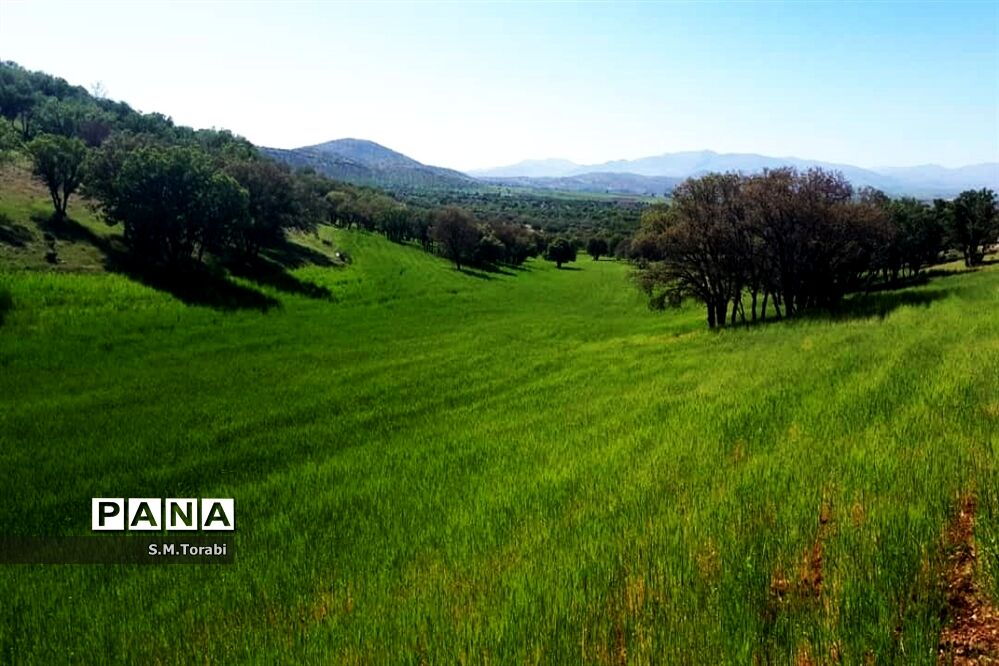 طبیعت زیبای تنگ بوان