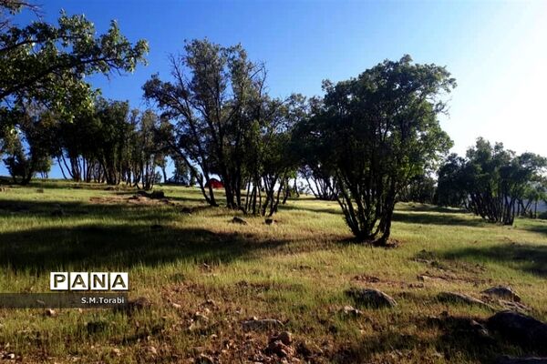 طبیعت زیبای تنگ بوان