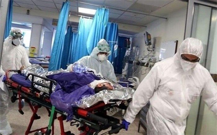 چرخش ویروس‌های جهش‌یافته در کشور