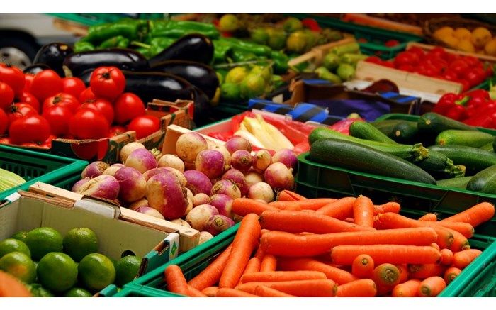 رشد قابل توجه صادرات سبزی و صیفی