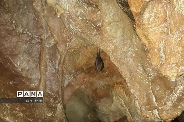 طبیعت بکر فریدو‌ن‌شهراصفهان