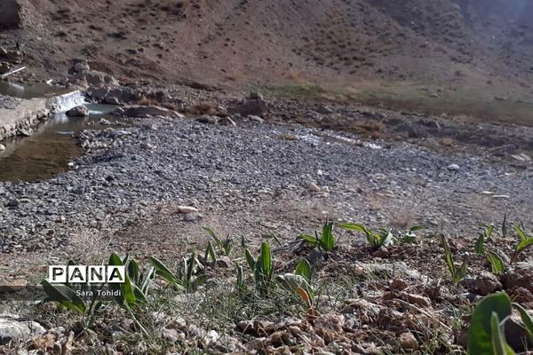 طبیعت بکر فریدو‌ن‌شهراصفهان