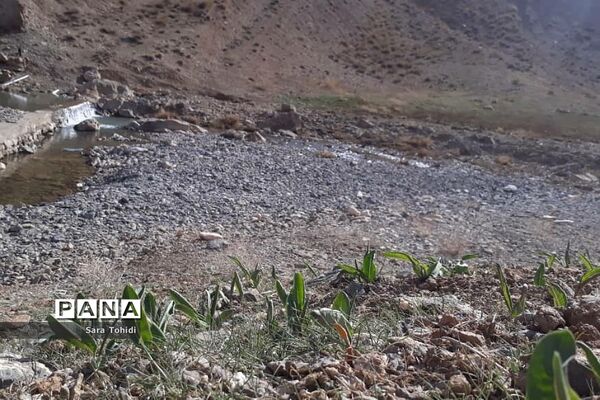طبیعت بکر فریدو‌ن‌شهراصفهان