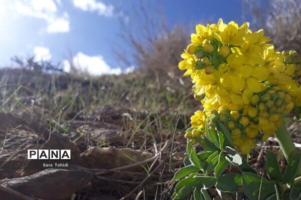 طبیعت بکر فریدو‌ن‌شهراصفهان