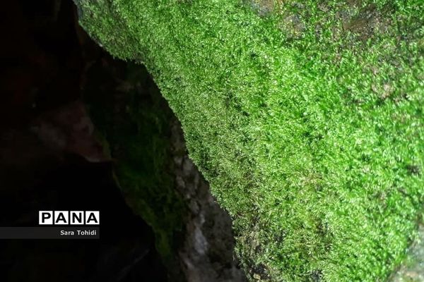 طبیعت بکر فریدو‌ن‌شهراصفهان