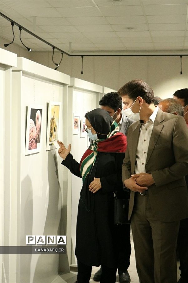 برگزاری طرح شبی با موزه در بافق