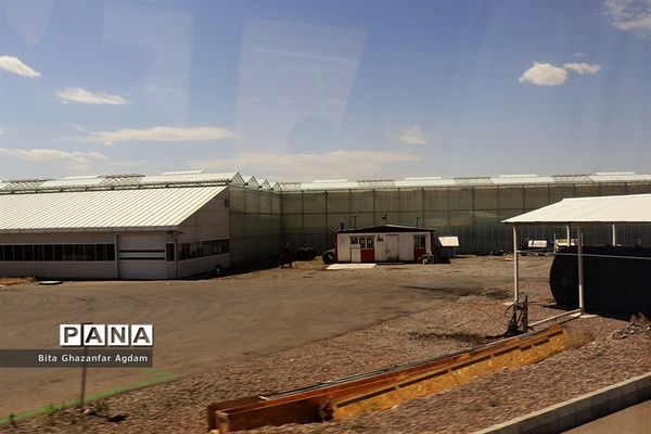 بازدید از مجتمع‌های گلخانه‌ای ارس تارلا امیر و امین تارلا شهرستان جلفا