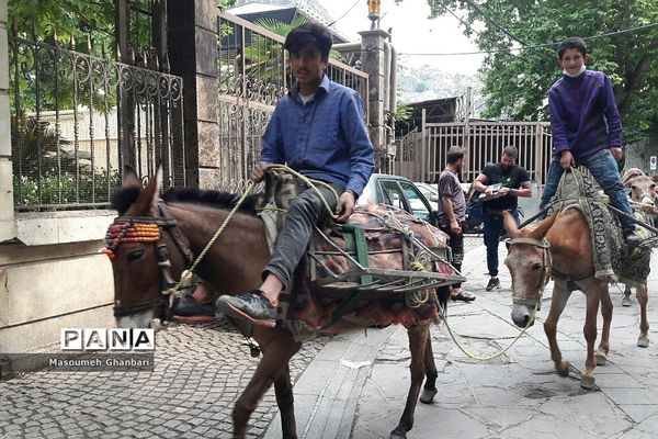 دَربَند، یکی از جذابیت‌های گردشی  تهران