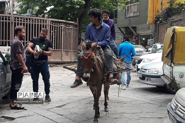 دَربَند، یکی از جذابیت‌های گردشی  تهران