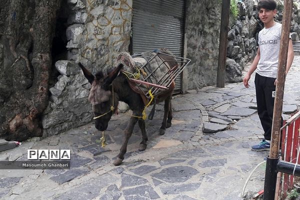 دَربَند، یکی از جذابیت‌های گردشی  تهران