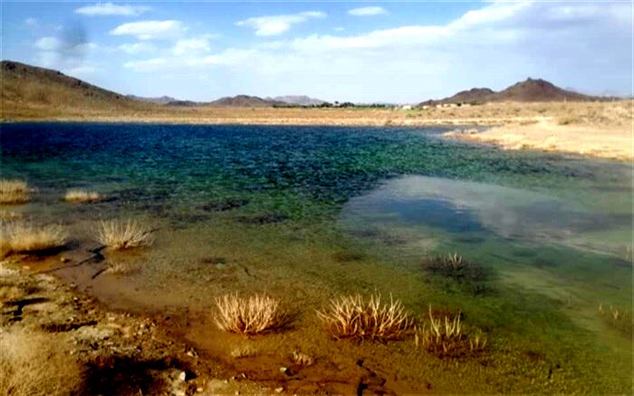۴٠٠ هزار قطعه لارو ماهی در منابع آبی تفتان رهاسازی شد 