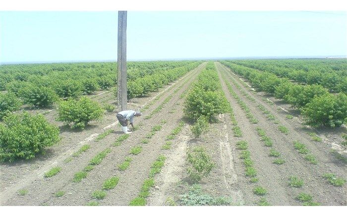افتتاح بزرگترین سایت گردشگری کشاورزی خاورمیانه در اردبیل