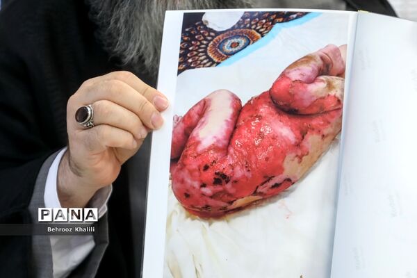 گفت‌وگوی اختصاصی پانا با مدیرعامل خانه «ای بی»