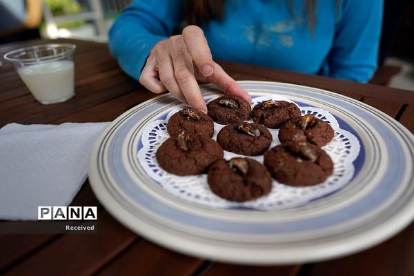 خارج شدن چند تریلیون «سیکادا»  پس از 17 سال از زیر زمین