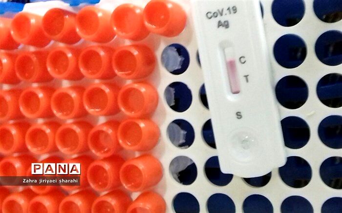 انجام بیش از ۱۹ هزار تست pcr در مبادی مرزی کشور