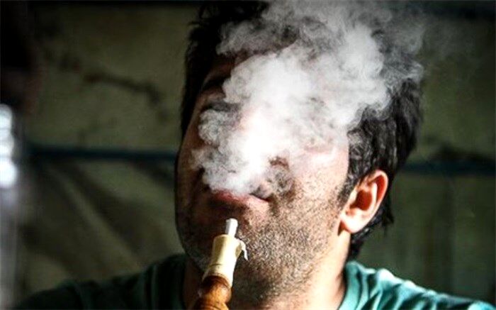 پک زدن همانا و تباهی همانا