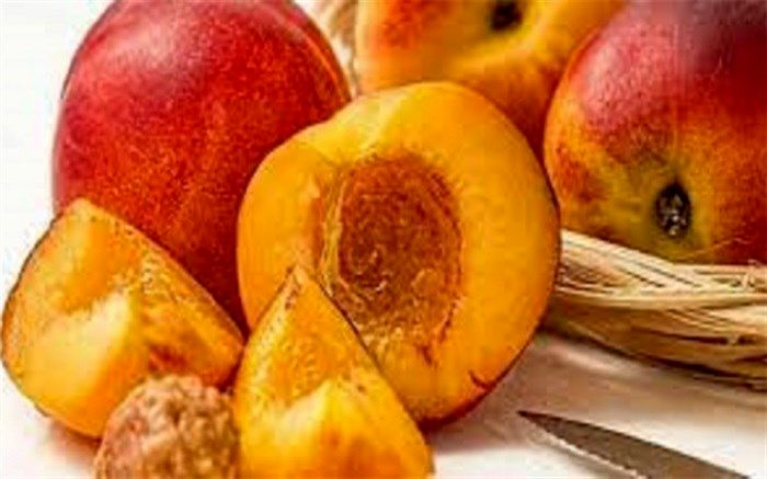 خطرات مرگبار زیاده‌روی در مصرف هلو