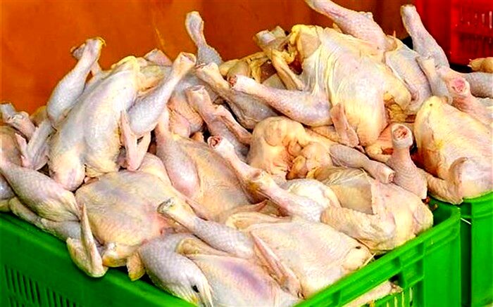 با گرانی دوباره مرغ، همچنان وزارت صمت پاسخگو نیست