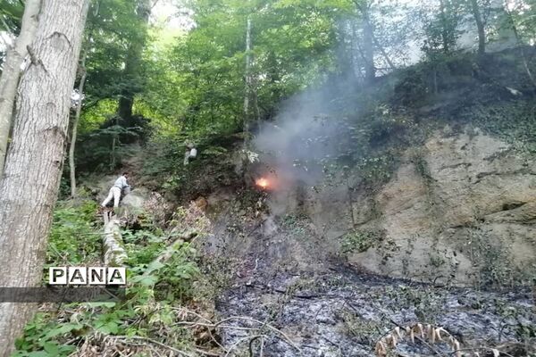 آتش سوزی در جنگل های توسکا چشمه گلوگاه مازندران