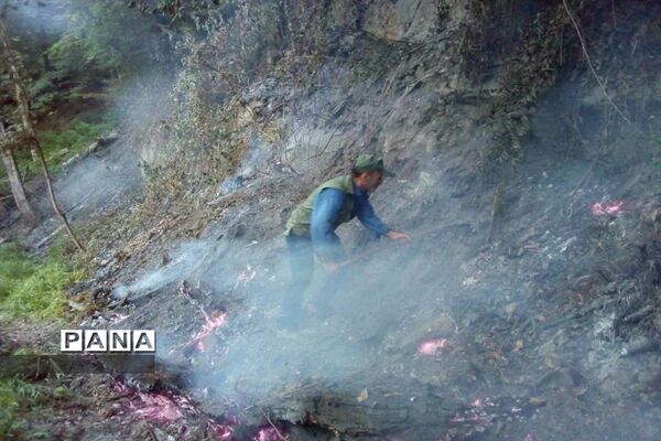 آتش سوزی در جنگل های توسکا چشمه گلوگاه مازندران
