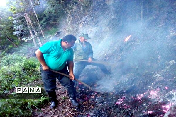 آتش سوزی در جنگل های توسکا چشمه گلوگاه مازندران