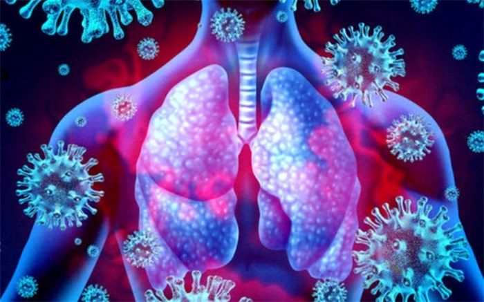 کدام اندام‌ها در بیماری کووید-۱۹ دچار بیشترین آسیب می‌شوند؟