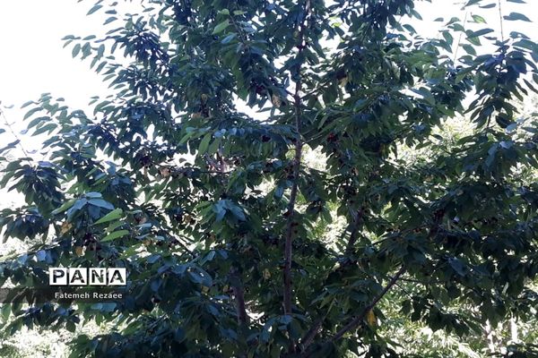 روستای تفریحی گردشگری شیت