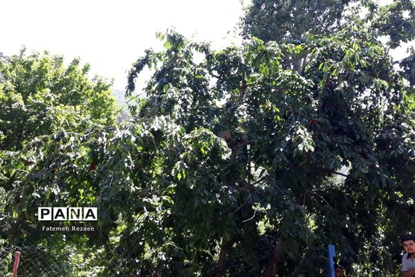 روستای تفریحی گردشگری شیت