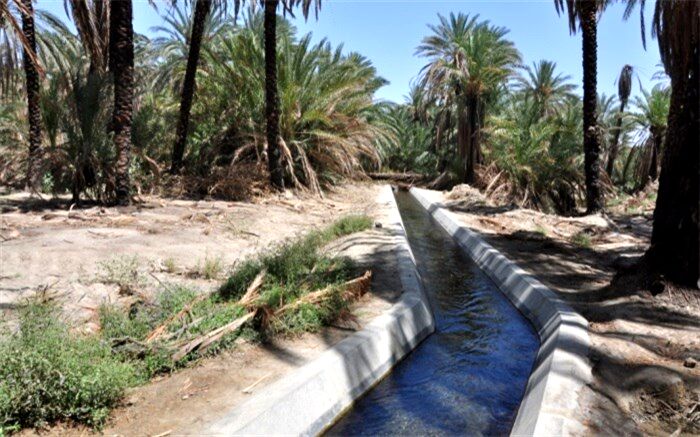 رشد بیش از 2 برابری اعتبارات آب و خاک جهاد کشاورزی در سیستان و بلوچستان