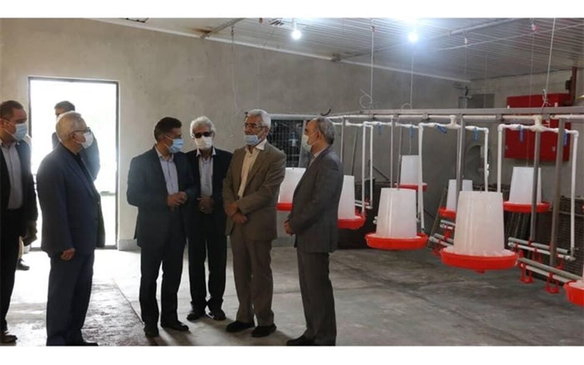 ۲ پروژه دانشگاهی گیلان با حضور معاون وزیر علوم افتتاح شد