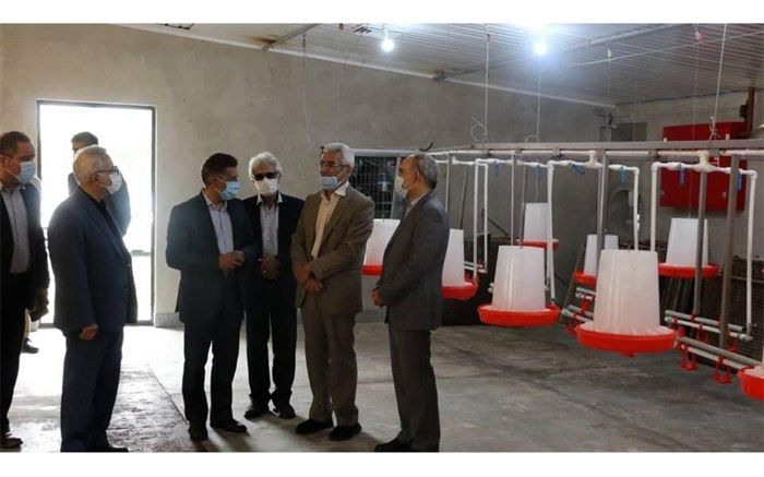 ۲ پروژه دانشگاهی گیلان با حضور معاون وزیر علوم افتتاح شد