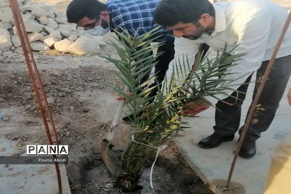 کاشت درخت به مناسبت روز دختر بیاد فاطمه خضری مقدم در روستای احمد آباد