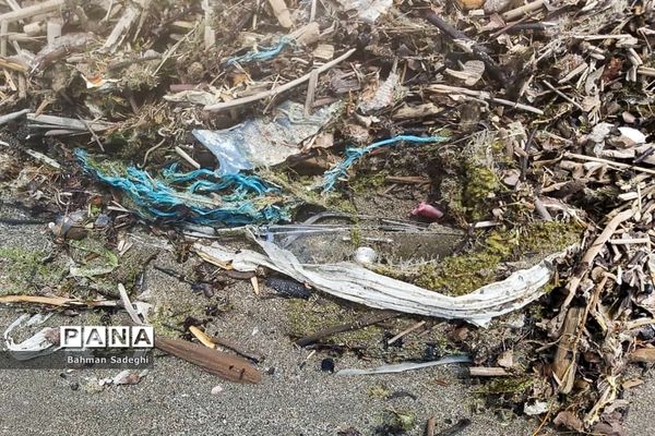 جامانده در ساحل