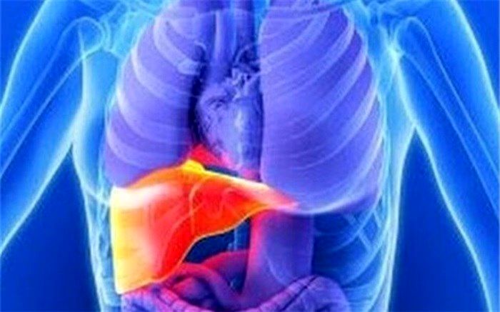 نسترن وحشی در پیشگیری از سیروز کبدی موثر است؟