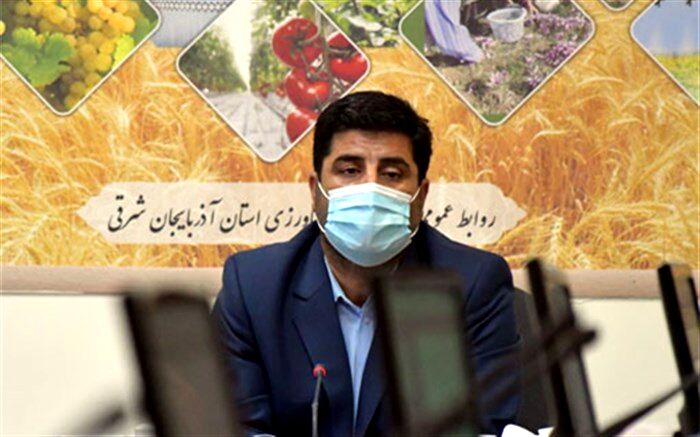 با مجوز و نسخه واحدی نمی‌توان مشکل استان‌ها در امر تولید را حل کرد