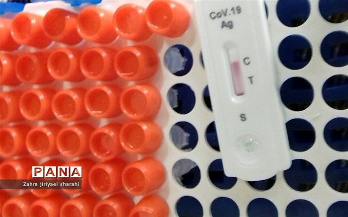 انجام بیش از ۲۷ هزار تست pcr در مبادی مرزی کشور