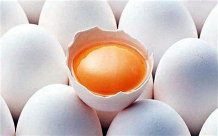 زرده تخم مرغ مصرف کنیم یا نه؟