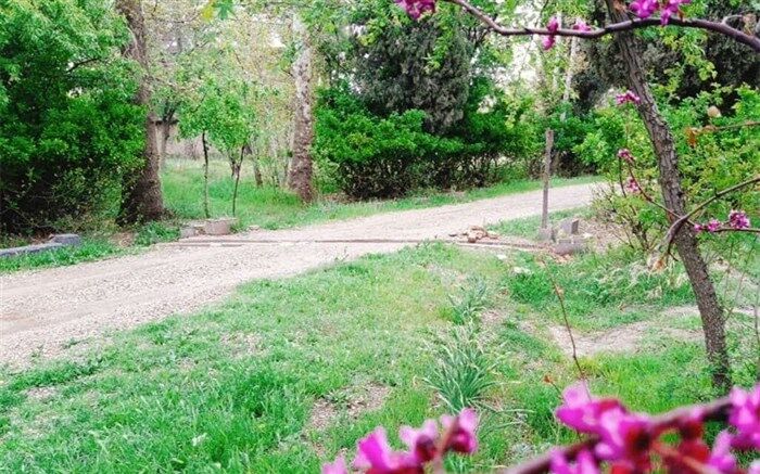تعدادی از پرونده‌های پلاک ثبتی پایتخت رای باغ گرفتند
