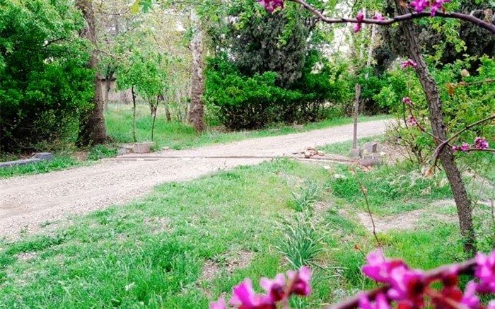 تعدادی از پرونده‌های پلاک ثبتی پایتخت رای باغ گرفتند