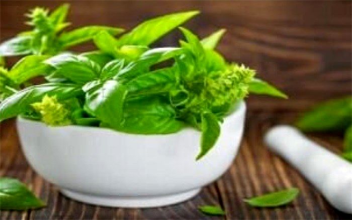 گیاهی برای مبارزه با افسردگی در زنان میانسال