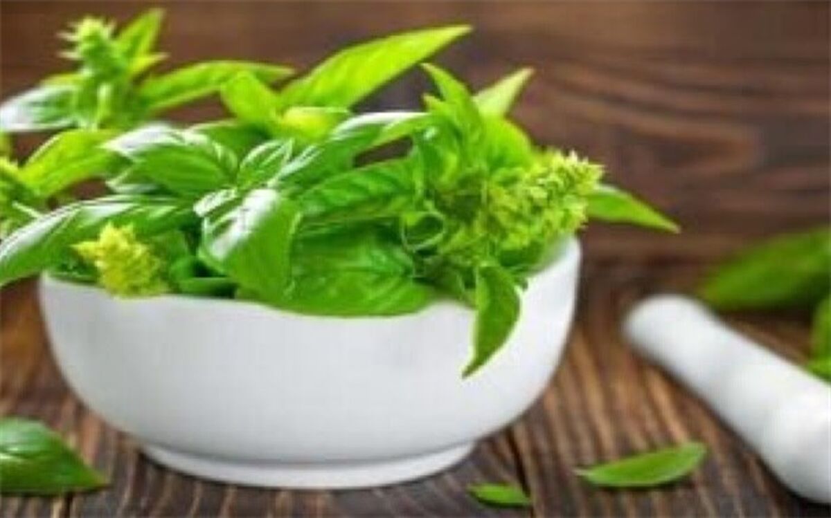 گیاهی برای مبارزه با افسردگی در زنان میانسال