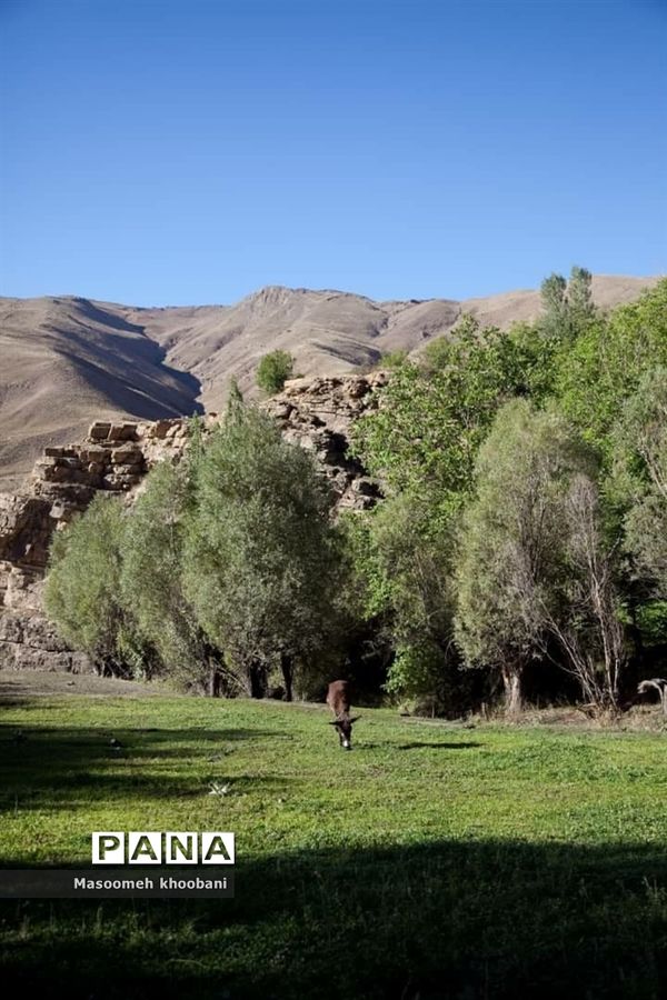 طبیعت زیبای روستای هویر شهرستان دماوند