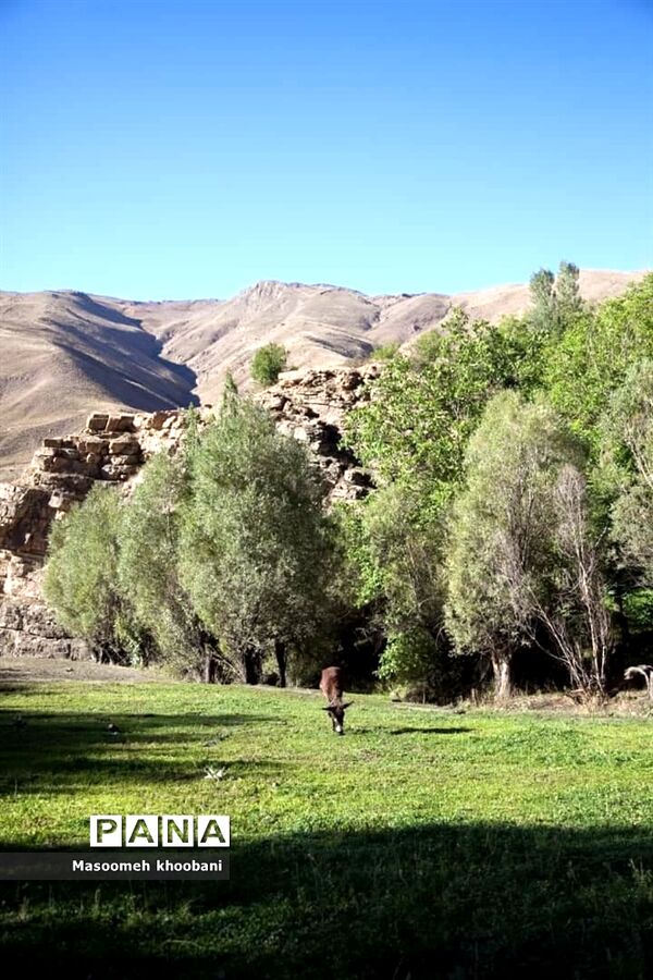 طبیعت زیبای روستای هویر شهرستان دماوند