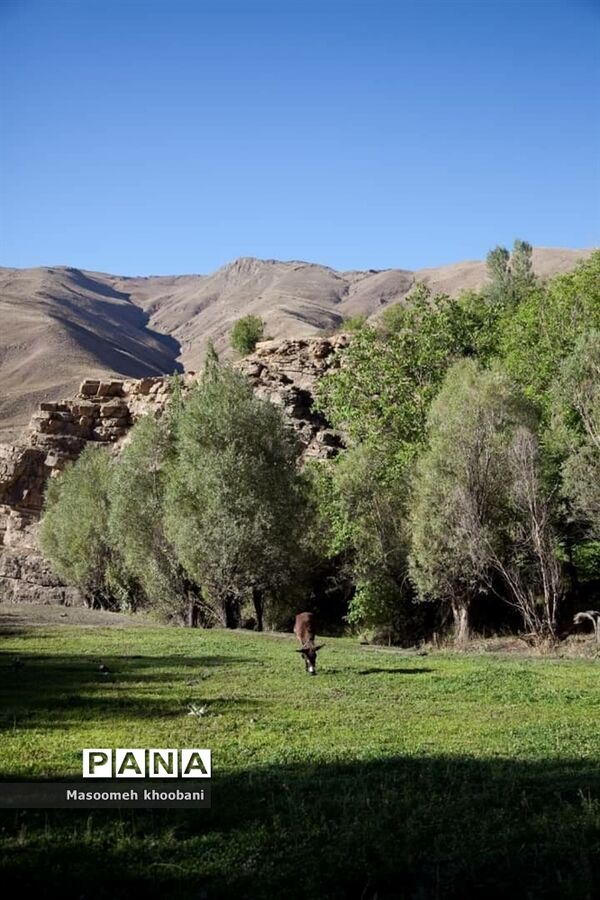 طبیعت زیبای روستای هویر شهرستان دماوند