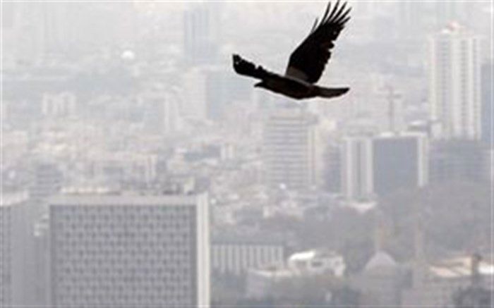 احتمال خیزش گرد و خاک و کاهش کیفیت هوا درسیستان و بلوچستان