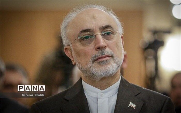 صالحی: نیروگاه هسته‌ای بوشهر تا دو روز آینده وارد مدار می‌شود
