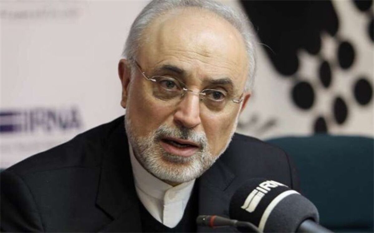 تامین مالی عامل کندی تکمیل نیروگاه‌های ۲ و ۳ بوشهر است