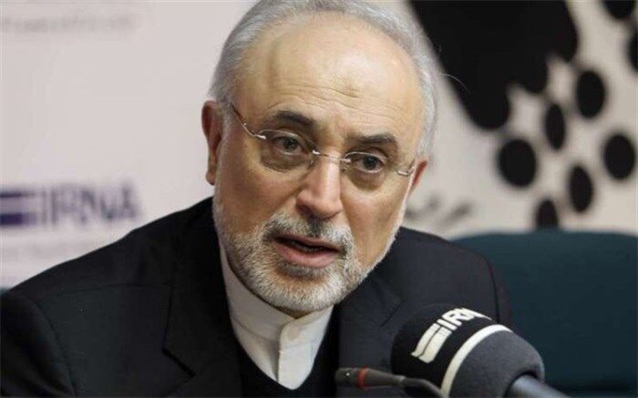 تامین مالی عامل کندی تکمیل نیروگاه‌های ۲ و ۳ بوشهر است